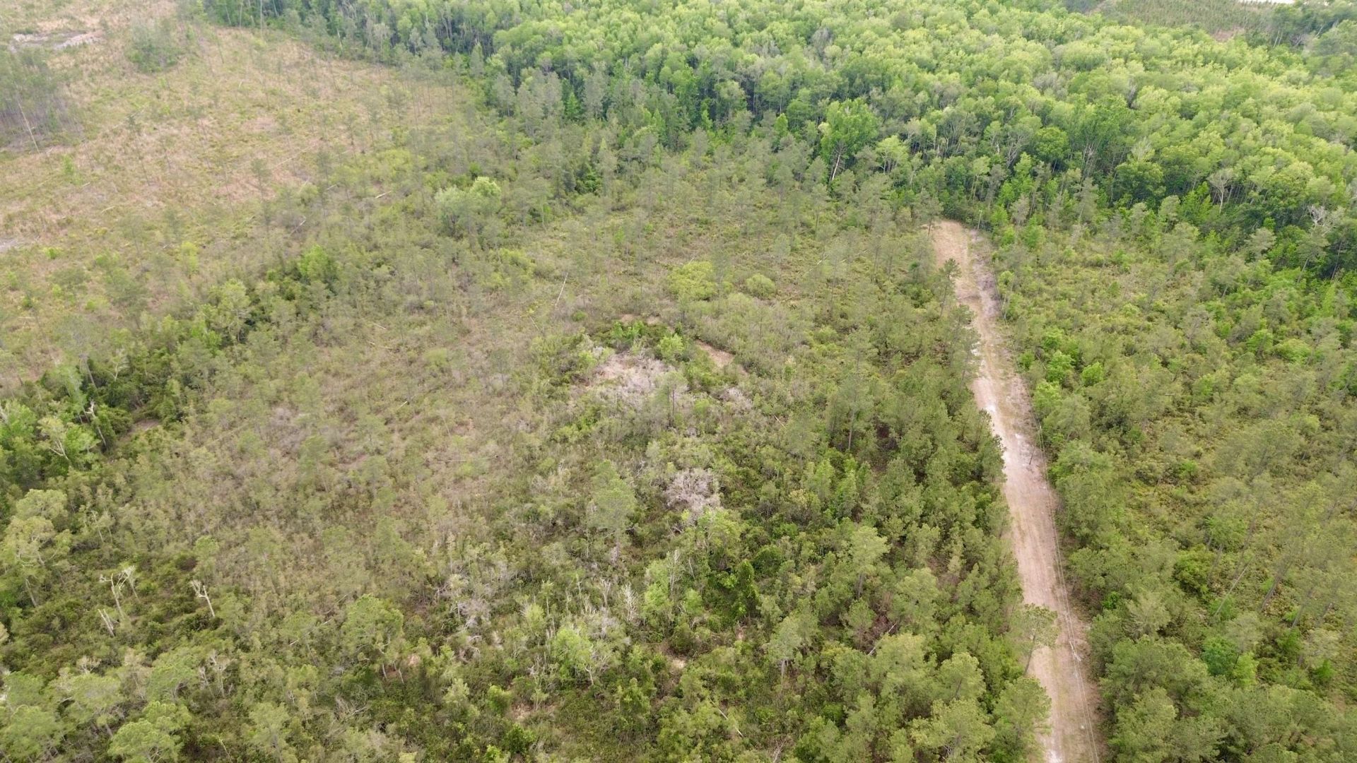 Lot 84 SW Oregon Trail, Greenville, FL 32331 Photo