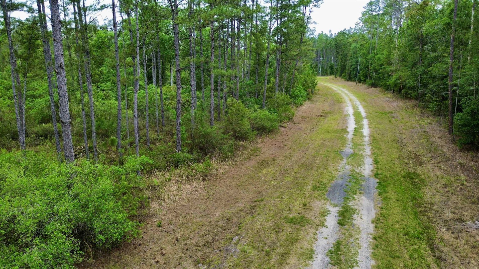 Lot 84 SW Oregon Trail, Greenville, FL 32331 Photo