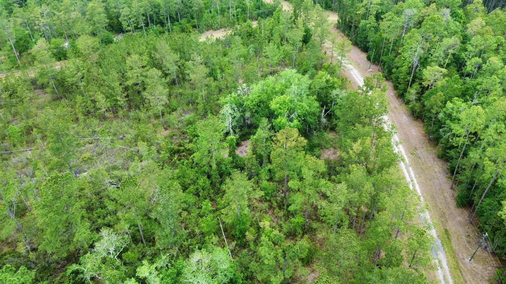 Lot 84 SW Oregon Trail, Greenville, FL 32331 Photo