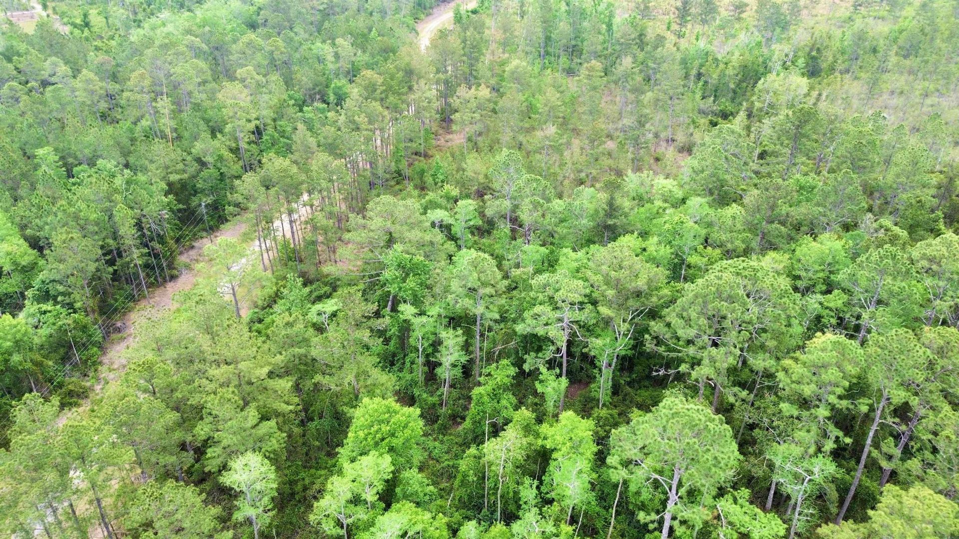 Lot 84 SW Oregon Trail, Greenville, FL 32331 Photo