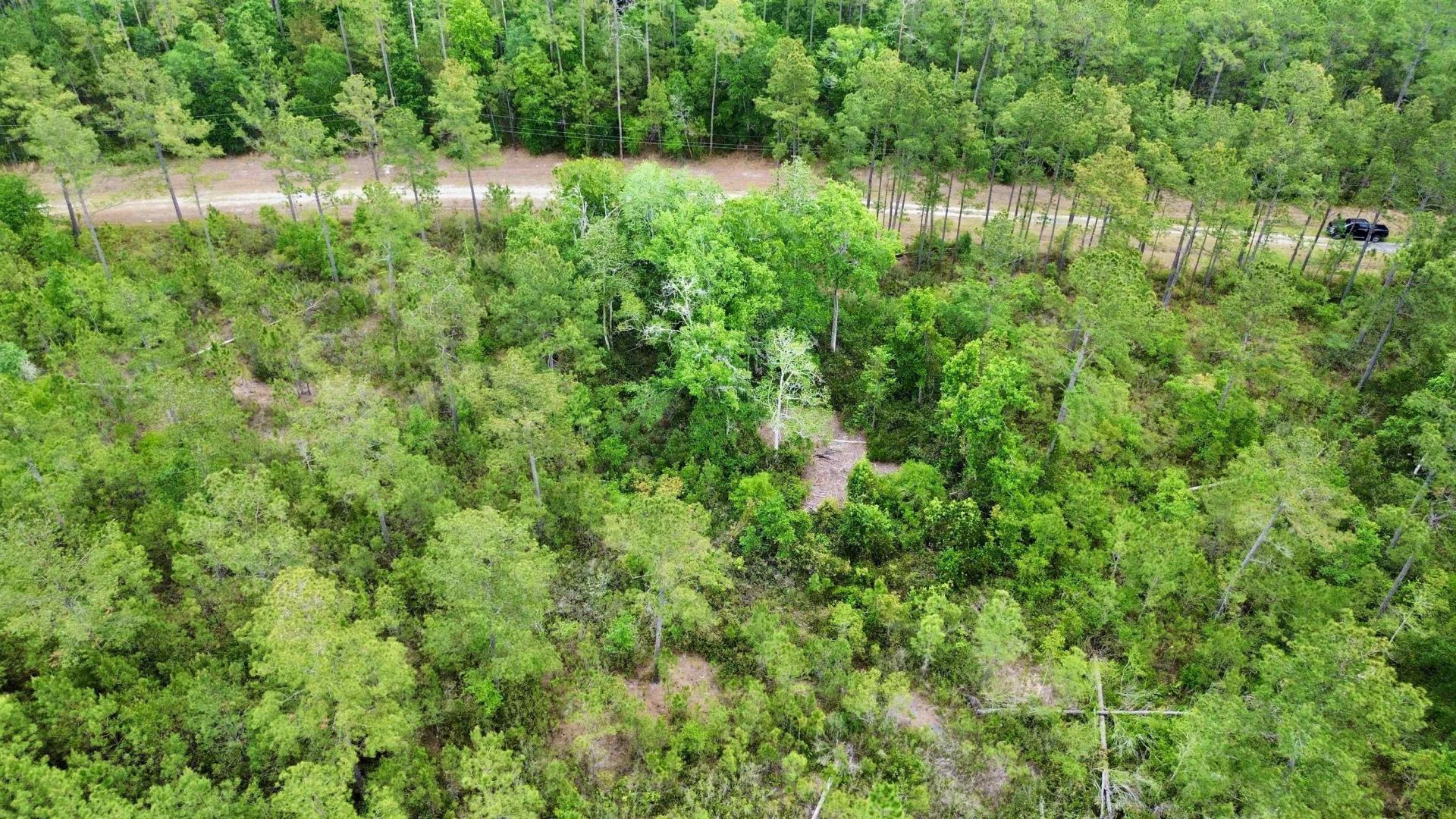 Lot 84 SW Oregon Trail, Greenville, FL 32331 Photo