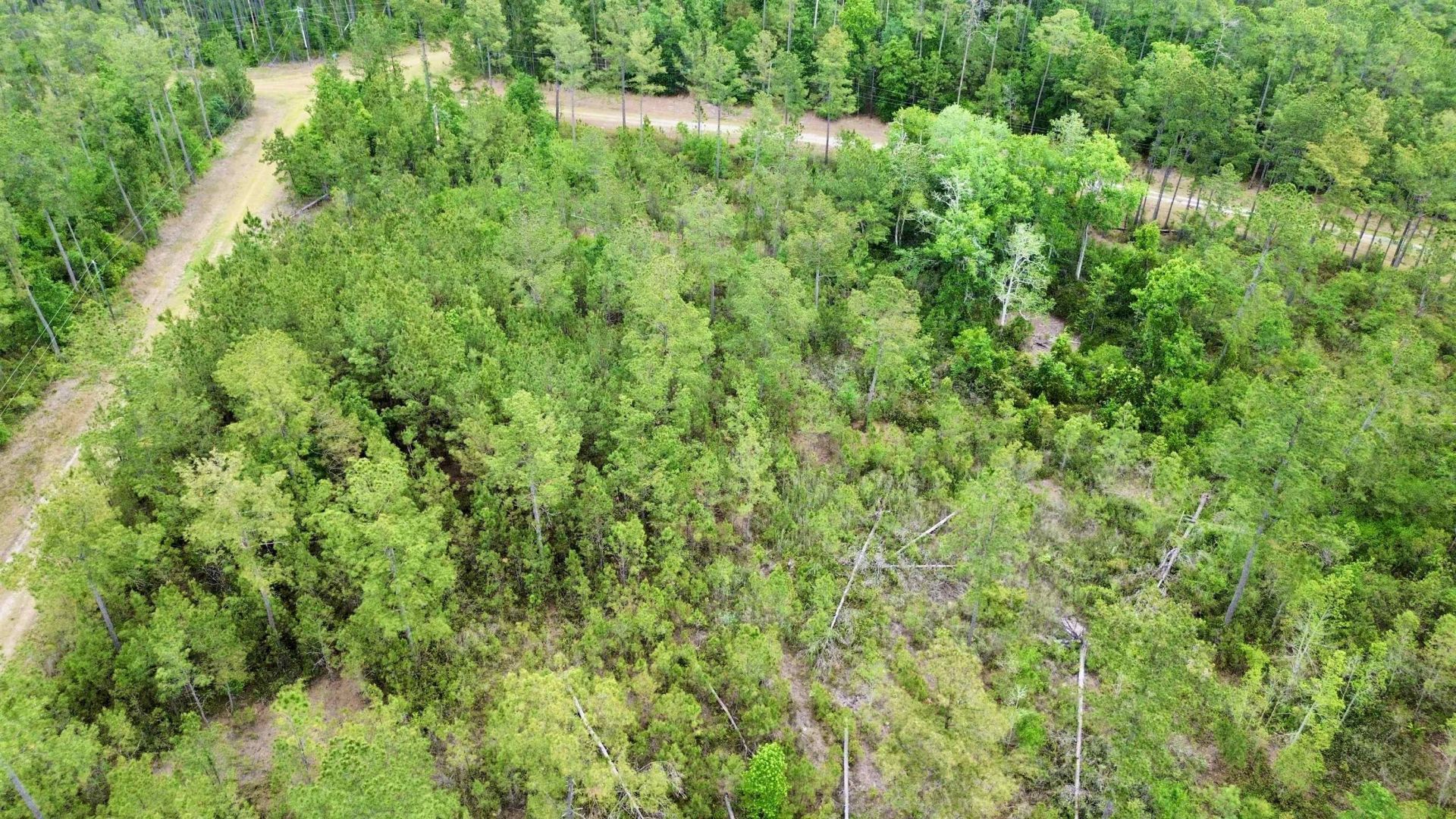 Lot 84 SW Oregon Trail, Greenville, FL 32331 Photo