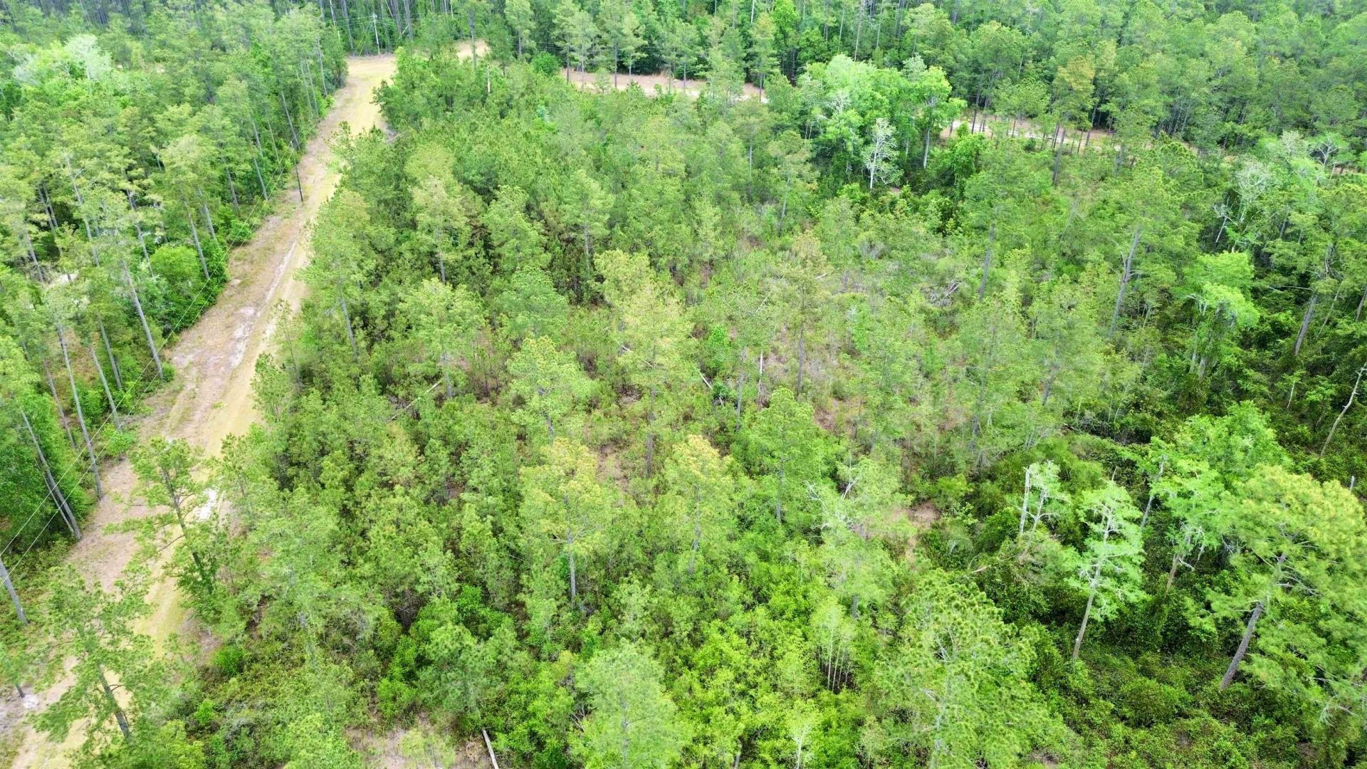 Lot 84 SW Oregon Trail, Greenville, FL 32331 Photo