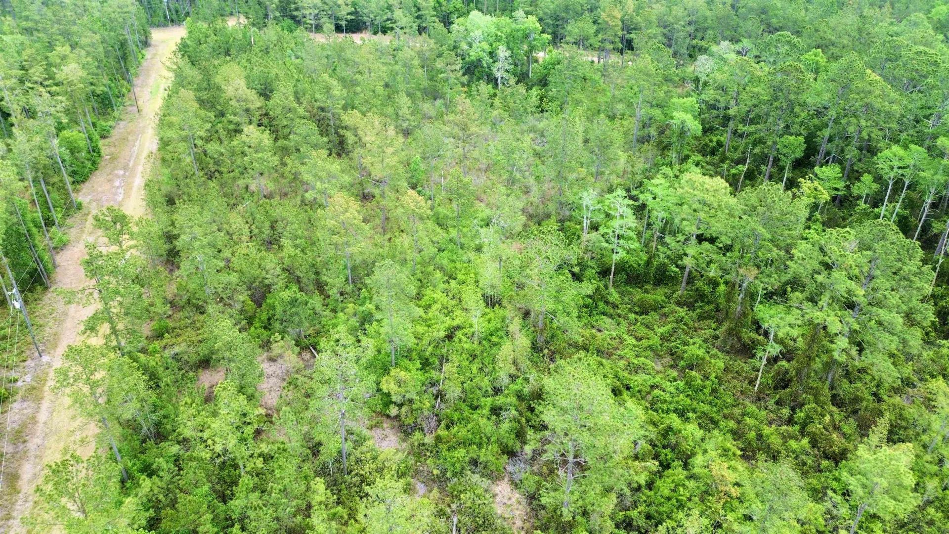Lot 84 SW Oregon Trail, Greenville, FL 32331 Photo