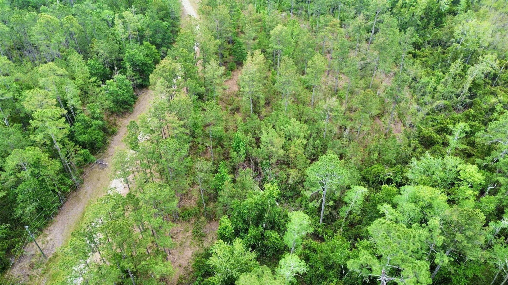 Lot 84 SW Oregon Trail, Greenville, FL 32331 Photo