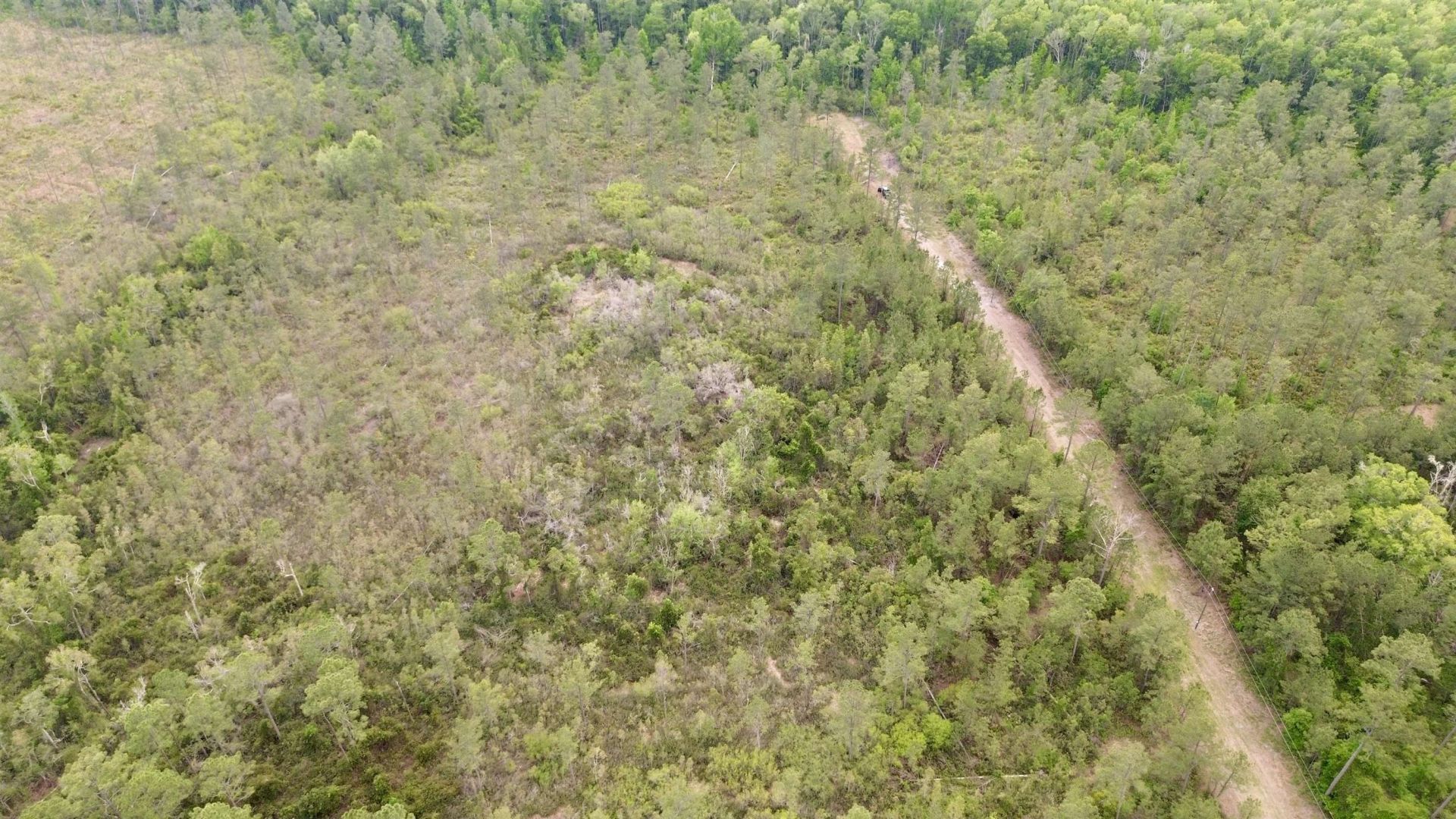 Lot 84 SW Oregon Trail, Greenville, FL 32331 Photo