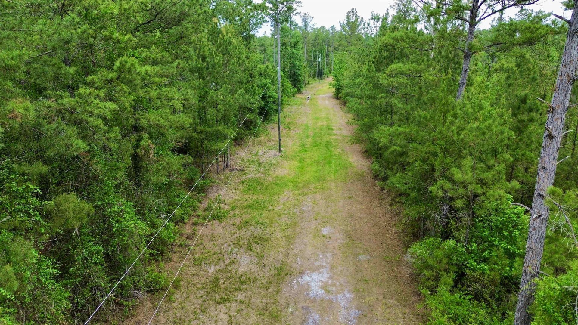 Lot 84 SW Oregon Trail, Greenville, FL 32331 Photo