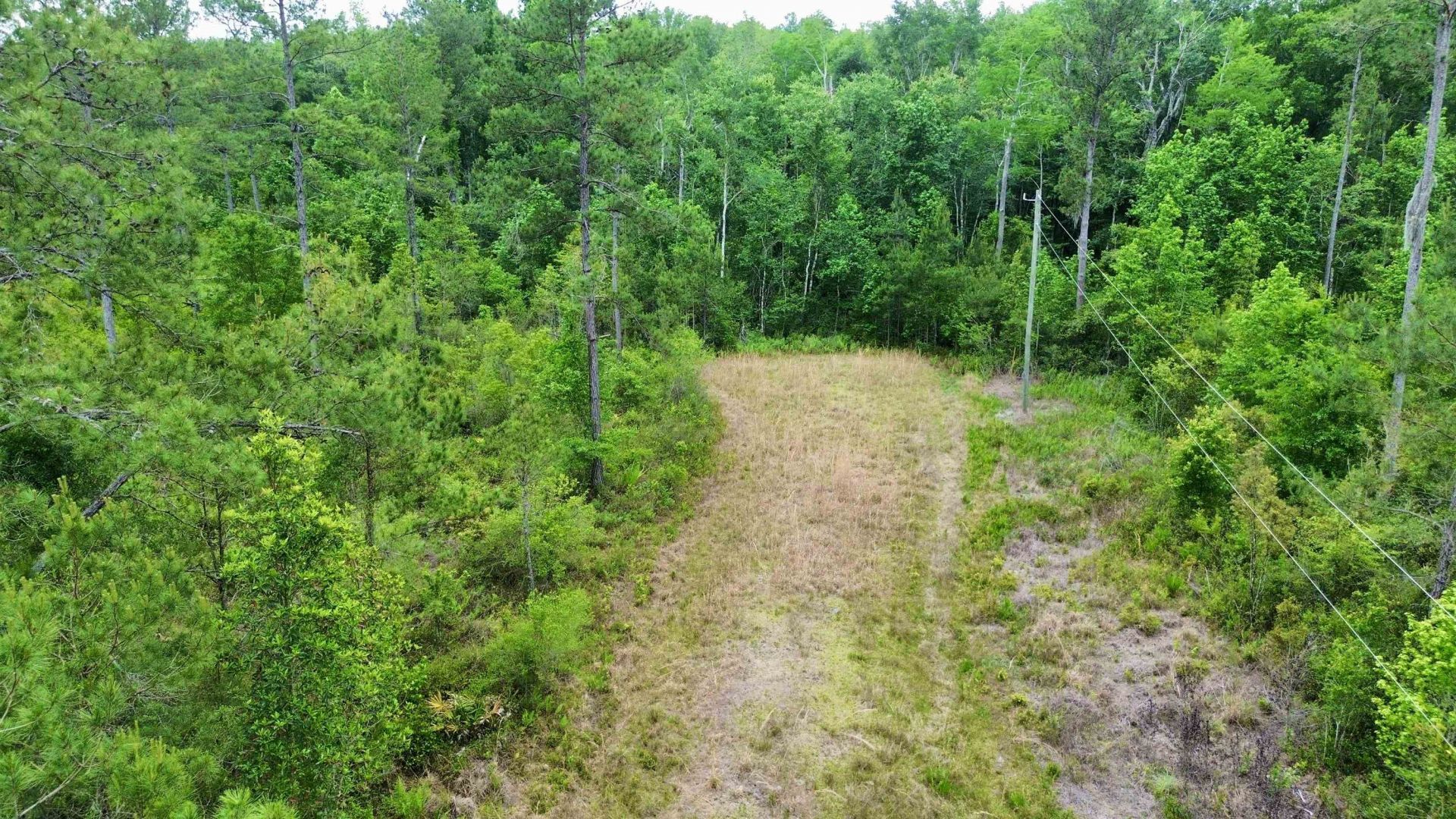 Lot 84 SW Oregon Trail, Greenville, FL 32331 Photo