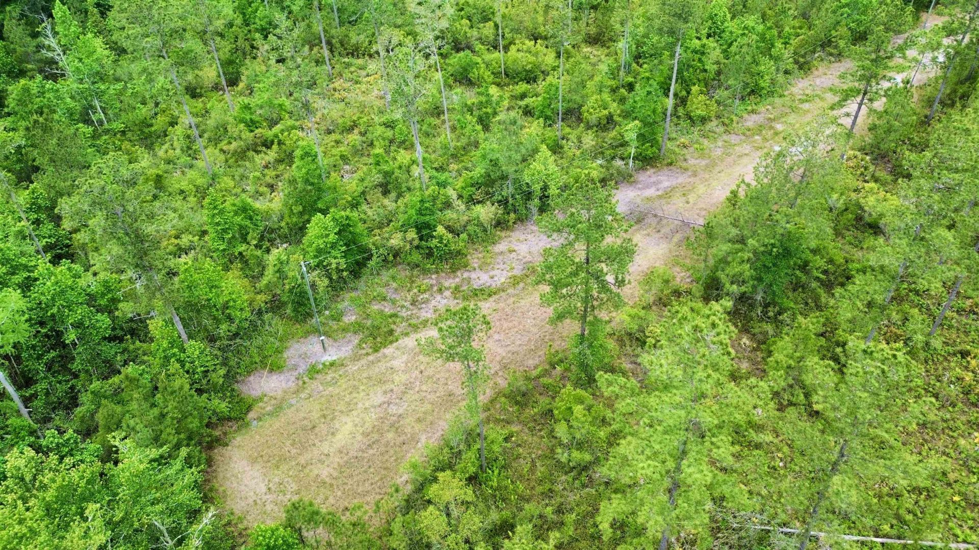 Lot 84 SW Oregon Trail, Greenville, FL 32331 Photo