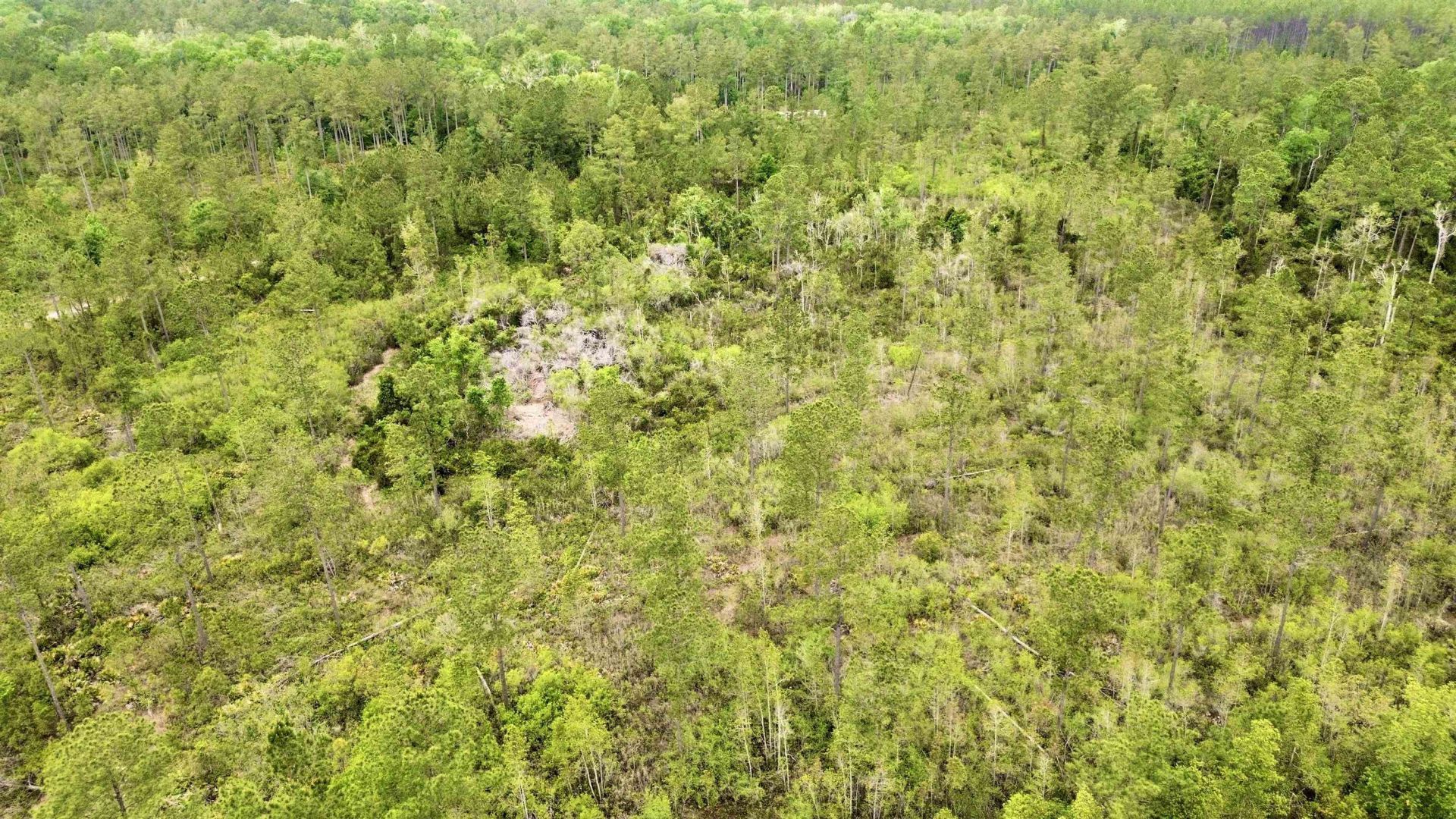 Lot 84 SW Oregon Trail, Greenville, FL 32331 Photo
