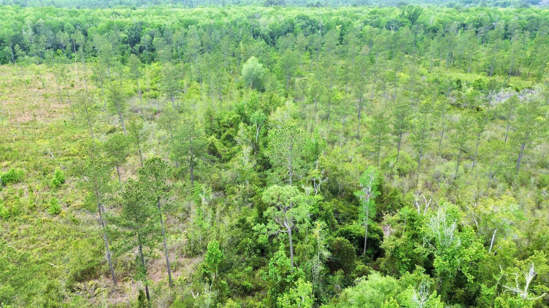 Lot 84 SW Oregon Trail, Greenville, FL 32331 Photo