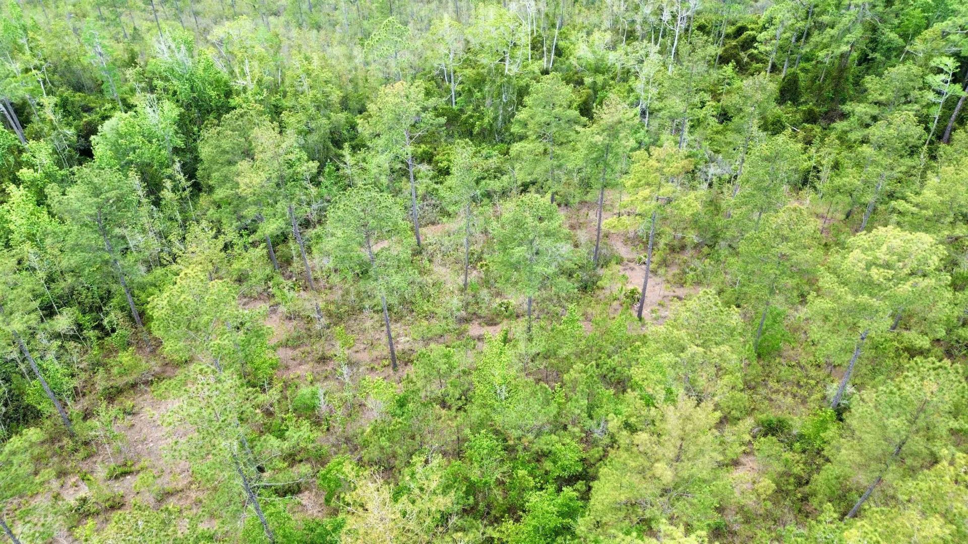 Lot 84 SW Oregon Trail, Greenville, FL 32331 Photo