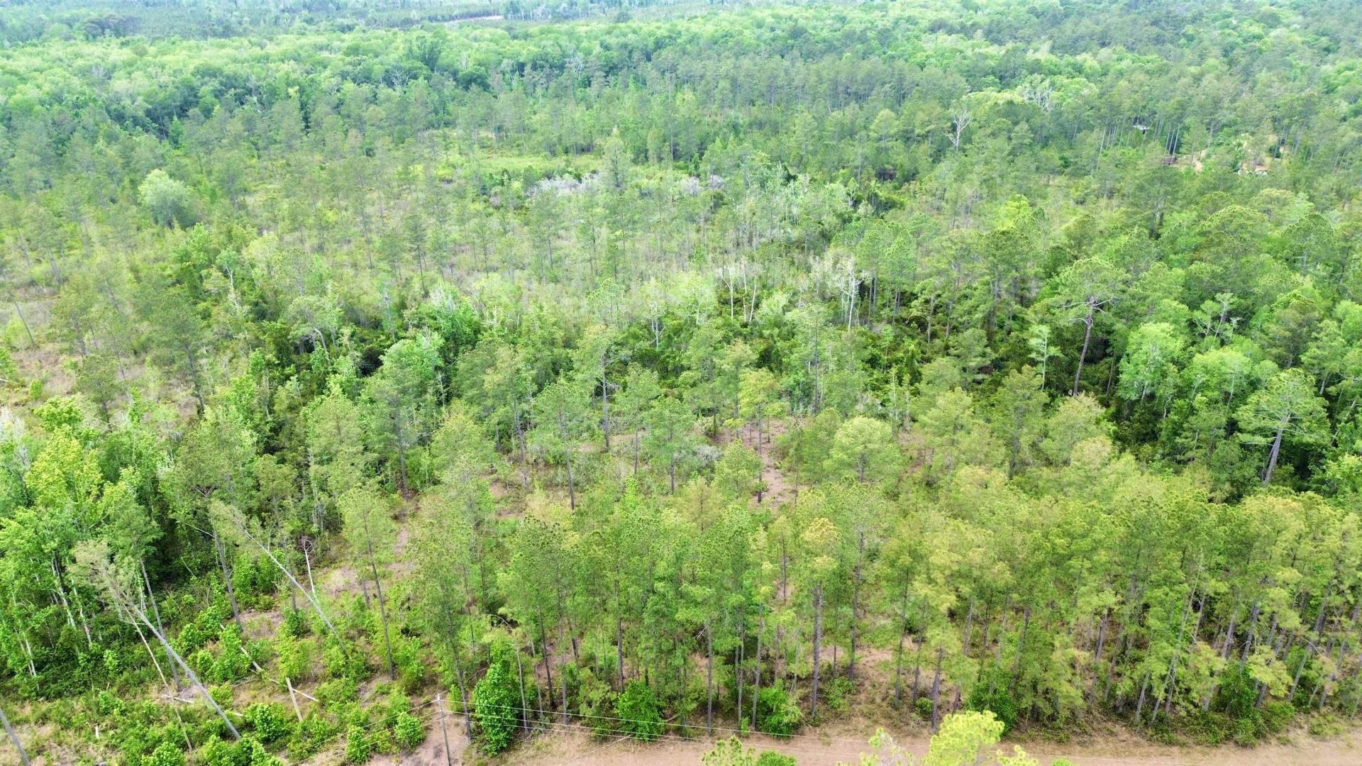 Lot 84 SW Oregon Trail, Greenville, FL 32331 Photo