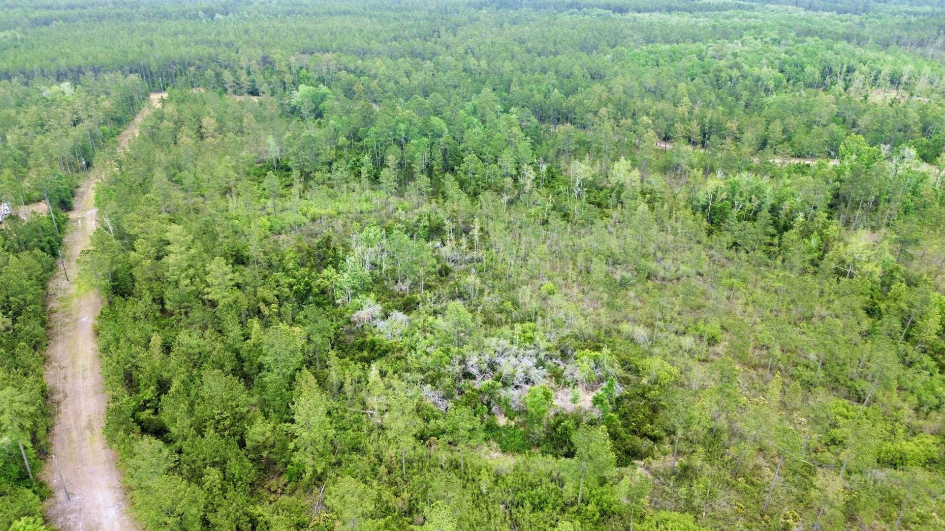 Lot 84 SW Oregon Trail, Greenville, FL 32331 Photo