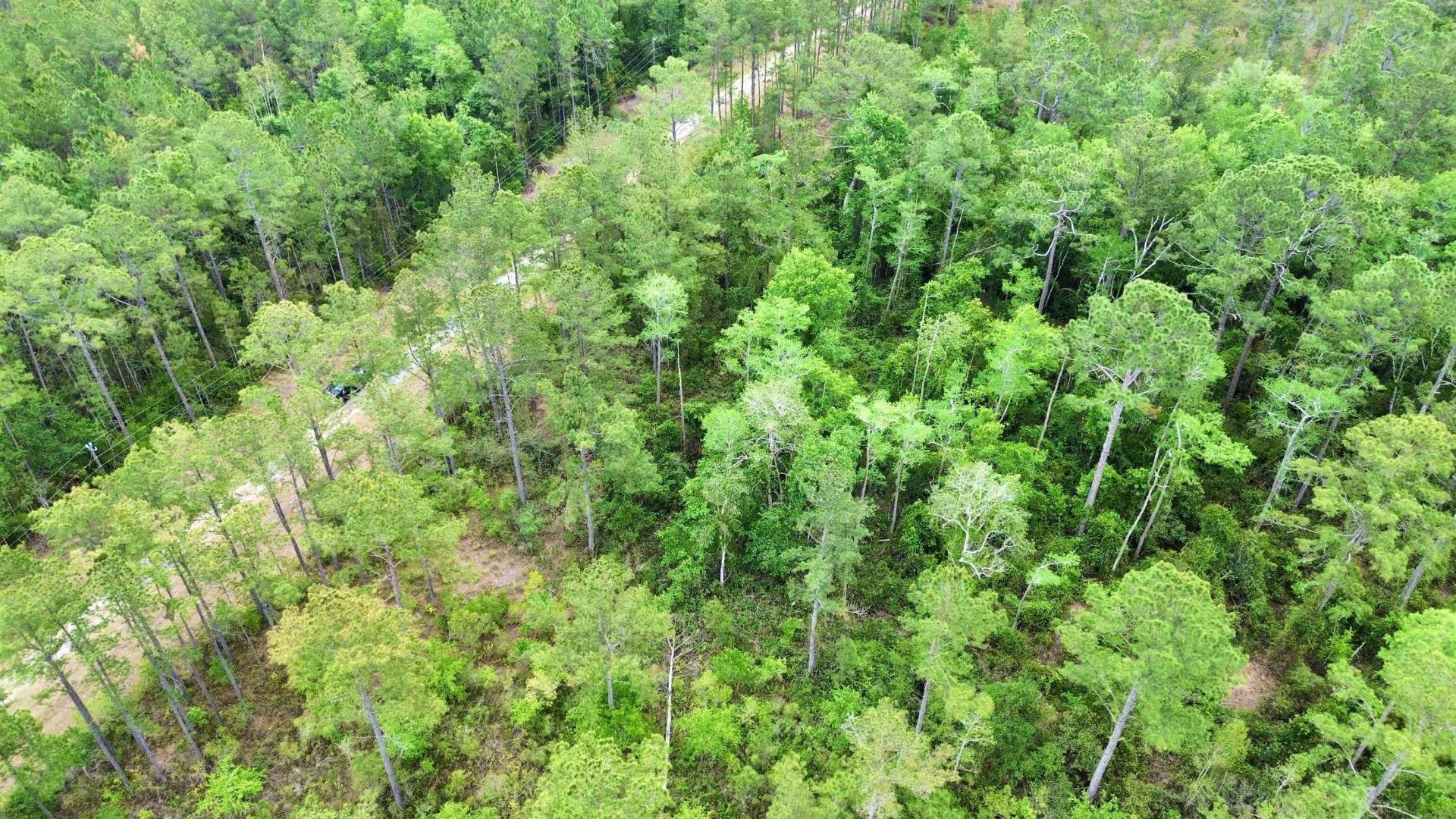 Lot 84 SW Oregon Trail, Greenville, FL 32331 Photo