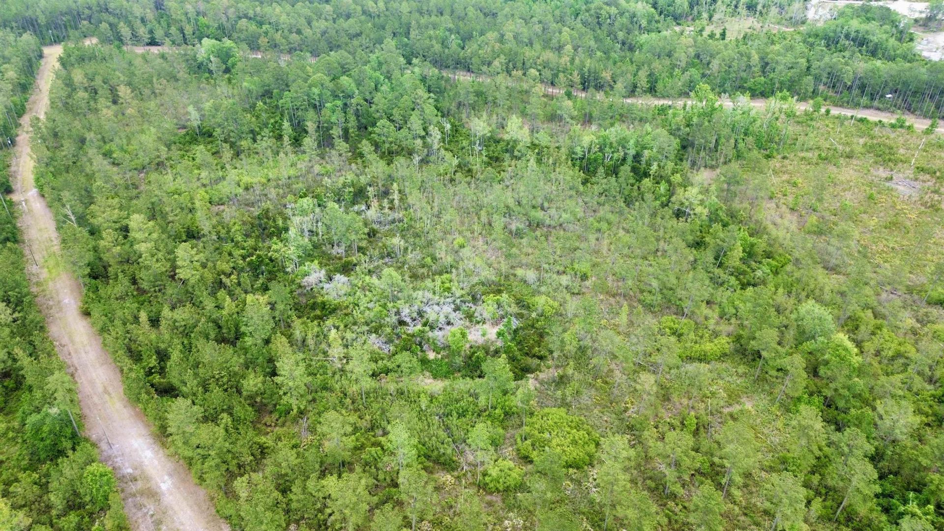 Lot 84 SW Oregon Trail, Greenville, FL 32331 Photo