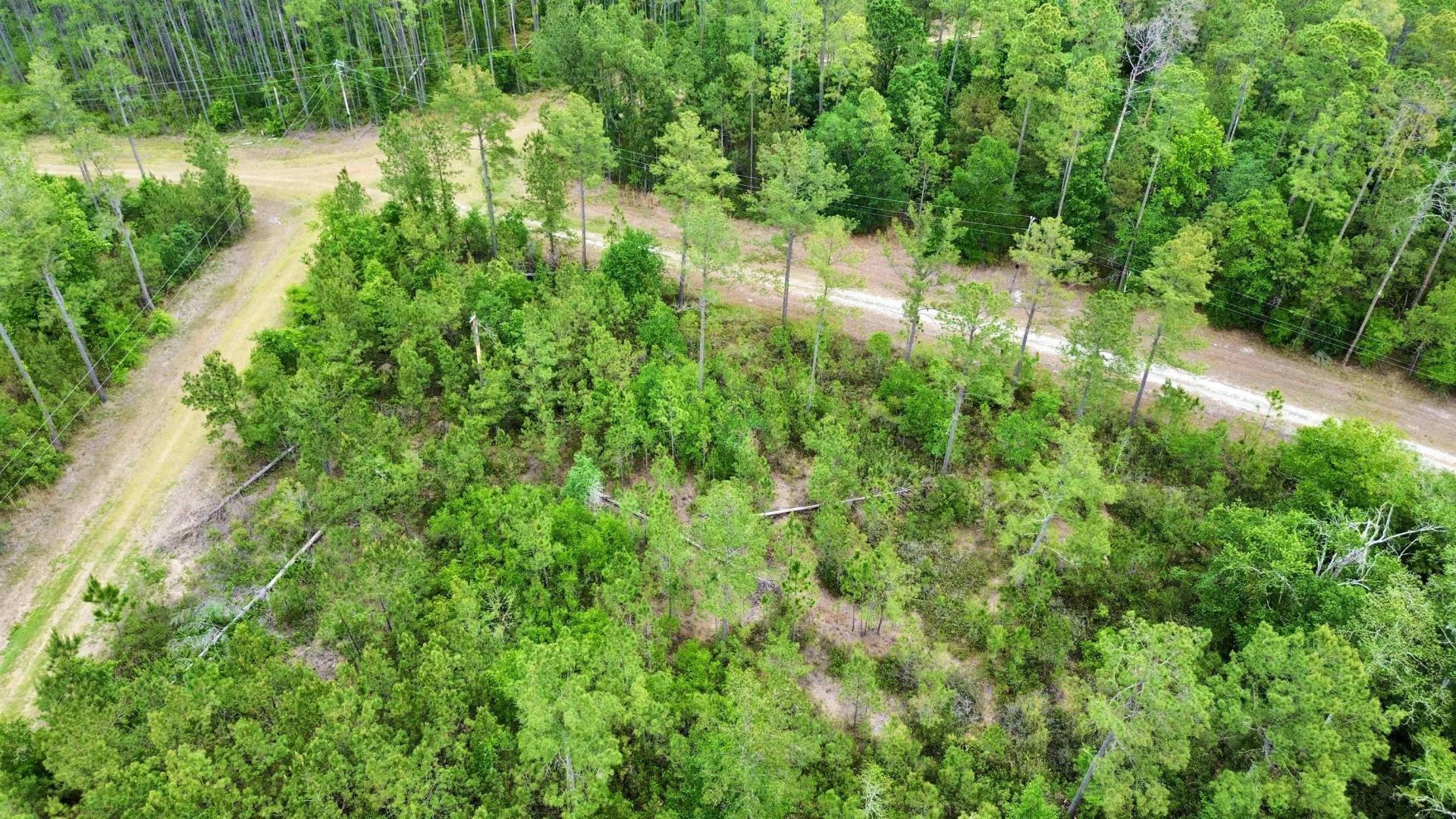 Lot 84 SW Oregon Trail, Greenville, FL 32331 Photo