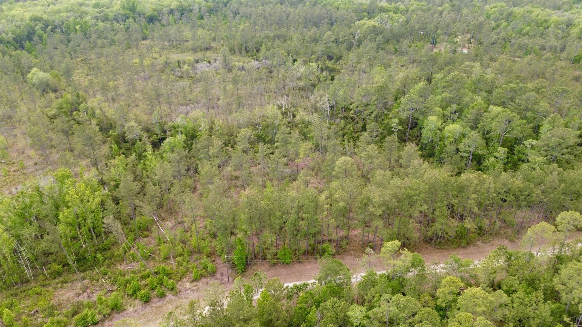 Lot 84 SW Oregon Trail, Greenville, FL 32331 Photo