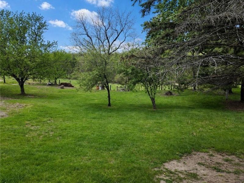 60490 Main Street, Jacobsburg, OH 43933 Photo 16