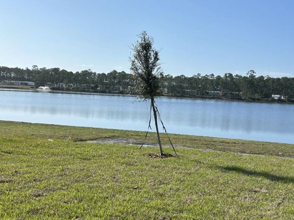 1406 Morning Walk Drive, Ormond Beach, FL 32174