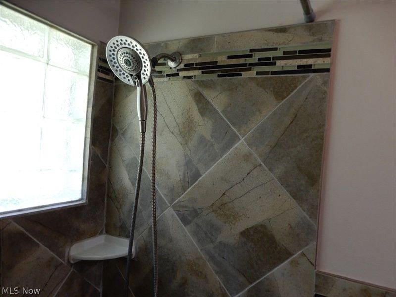 Geneva, OH 44041 Photo 28