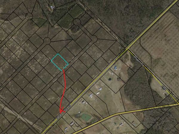 0 Tiffany Drive, Unit 131, Cochran, GA 31014