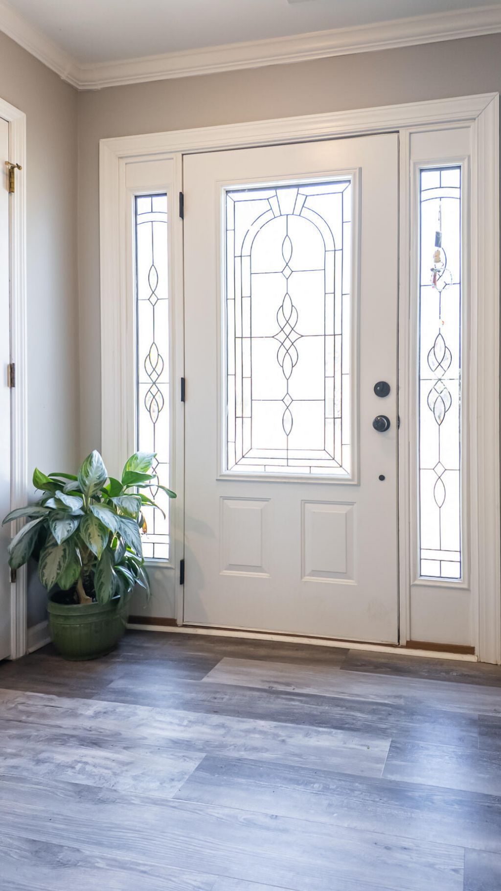 161 Hickory Trace Drive Photo 12