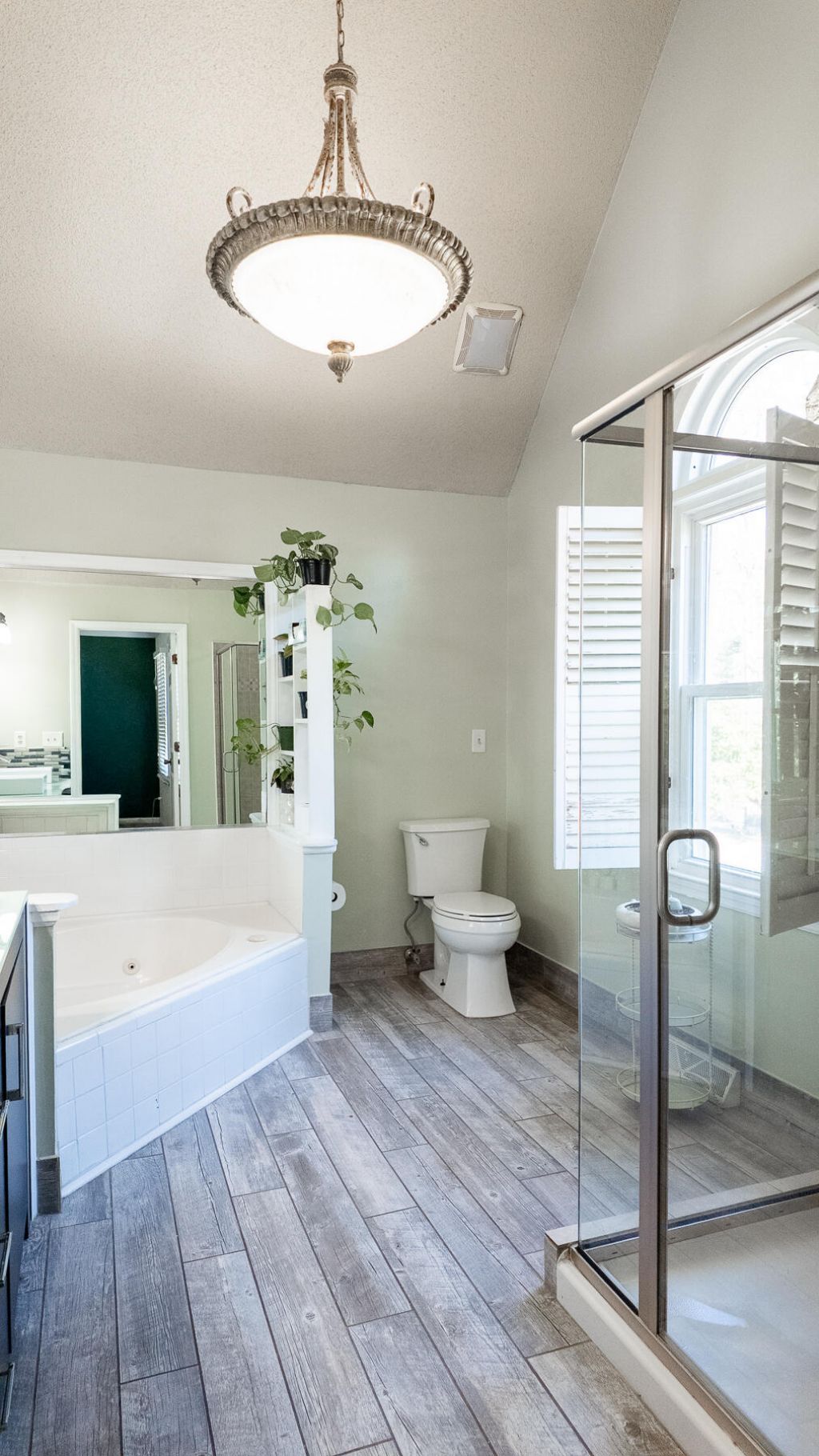 161 Hickory Trace Drive Photo 49