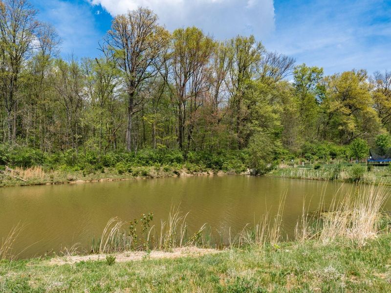 3398 Woodland Drive, Hilliard, OH 43026 Photo 79