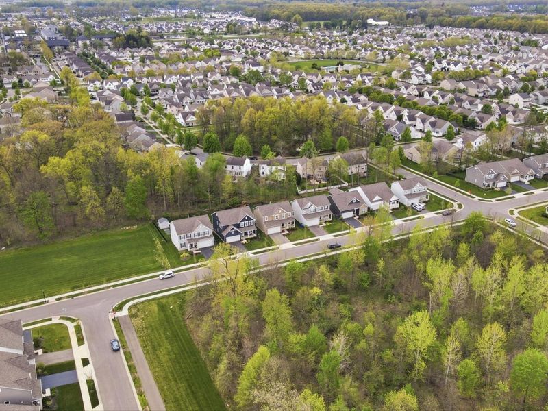 6173 Jadwinn Drive, Westerville, OH 43081 Photo 3