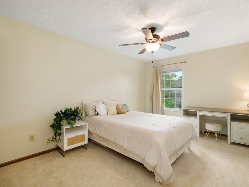 8041 Lakeloop Drive, Westerville, OH 43081 Photo 15