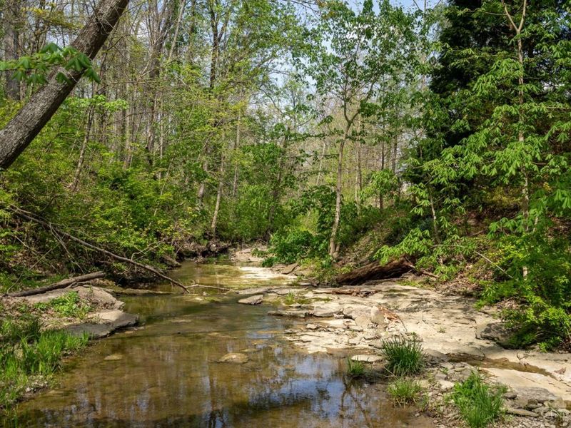 8425 Kugler Mill Road, Indian Hill, OH 45243 Photo 33