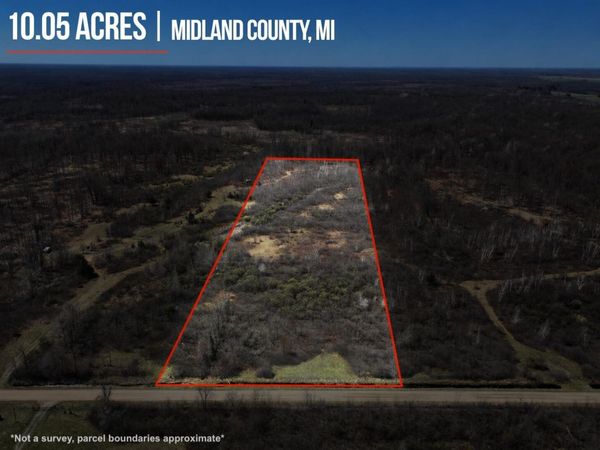 V/L 10A P3 N Magruder Road, Coleman, MI 48618