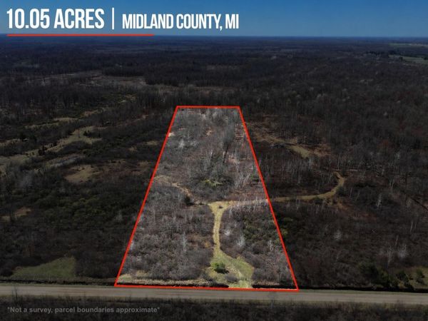 V/L 10A P2 N Magruder Road, Coleman, MI 48618