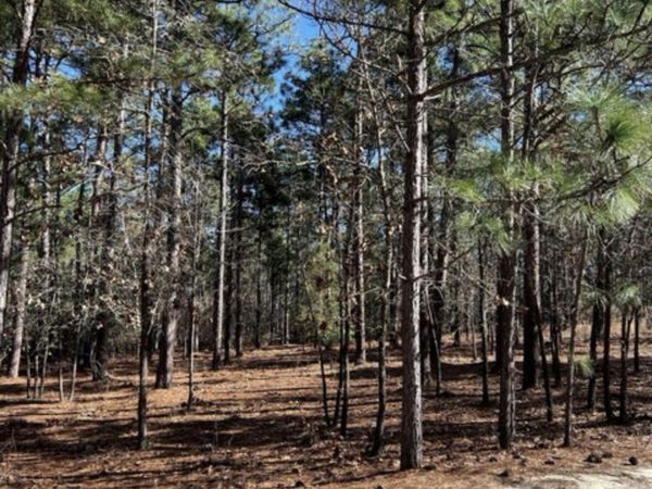 14 Kilbride Drive , Pinehurst, NC 28374