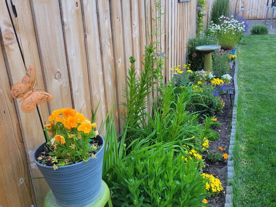 Property Image 49