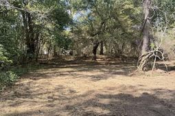 0 Roberta Drive photo 4