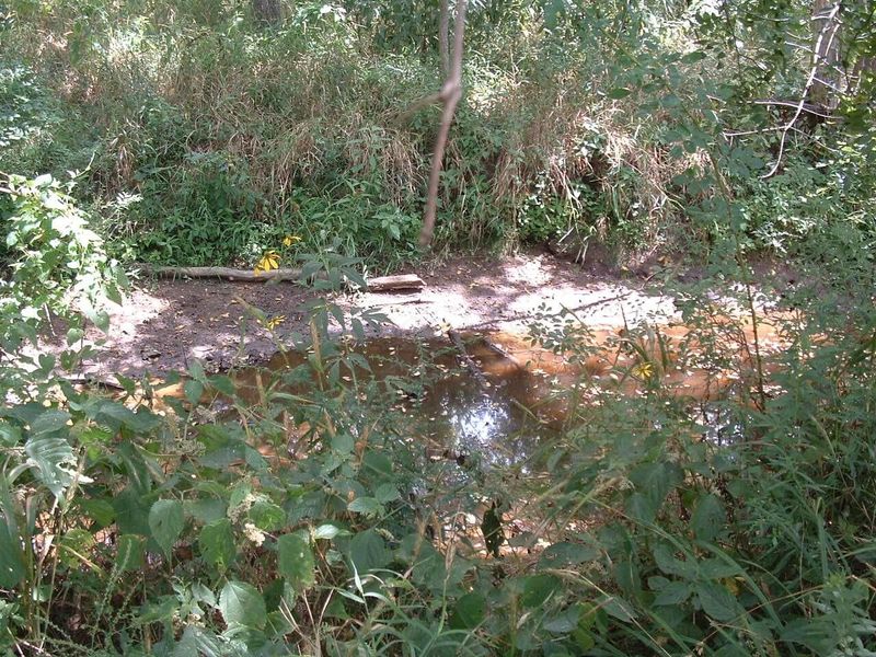 11950 Crouse Willison Road , Croton, OH 43013 Photo 43