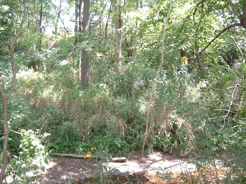 11950 Crouse Willison Road , Croton, OH 43013 Photo 44