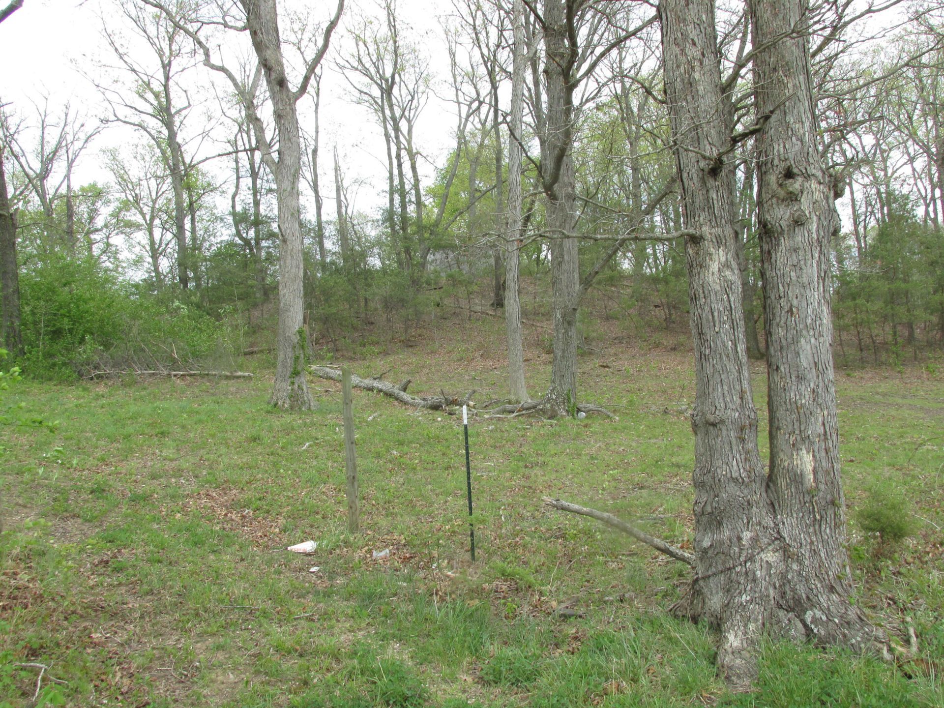 123 (tbd) Tract 3 Long Branch Road, Jeffersonville, KY 40337 Main Photo