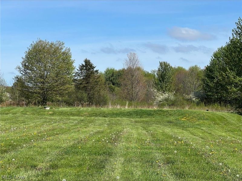 SL 62 Ravinewood Drive, Austinburg, OH 44010 Photo 3