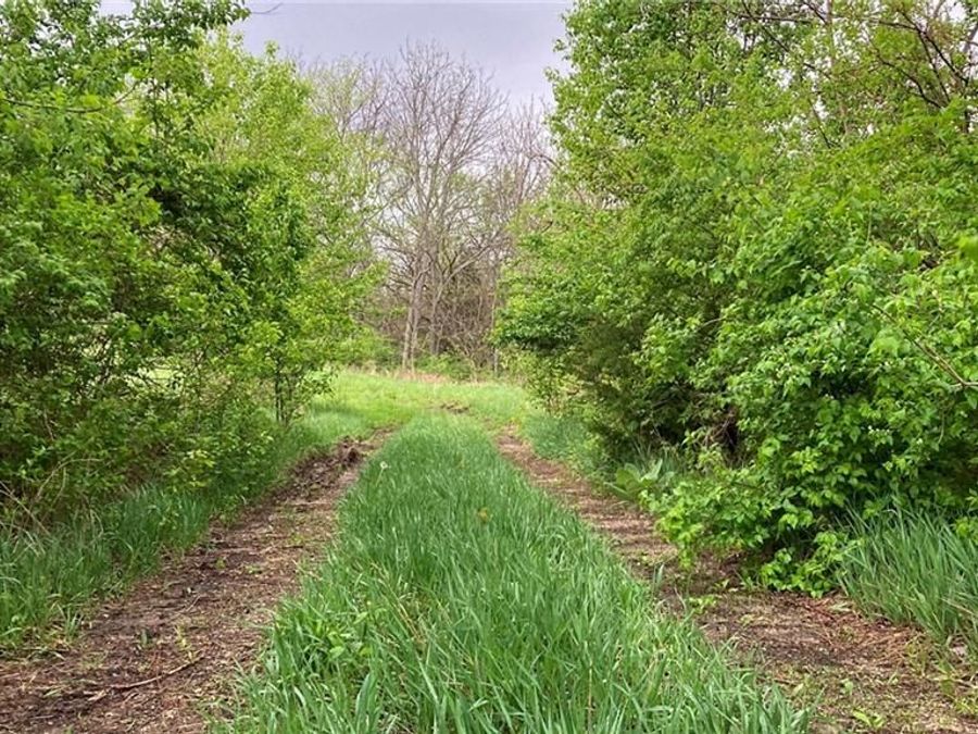 Property Image 31
