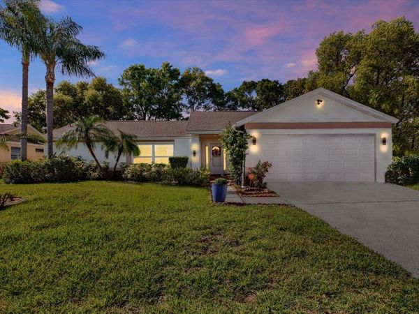 9806 DIDRIKSON DRIVE , NEW PORT RICHEY, FL 34655