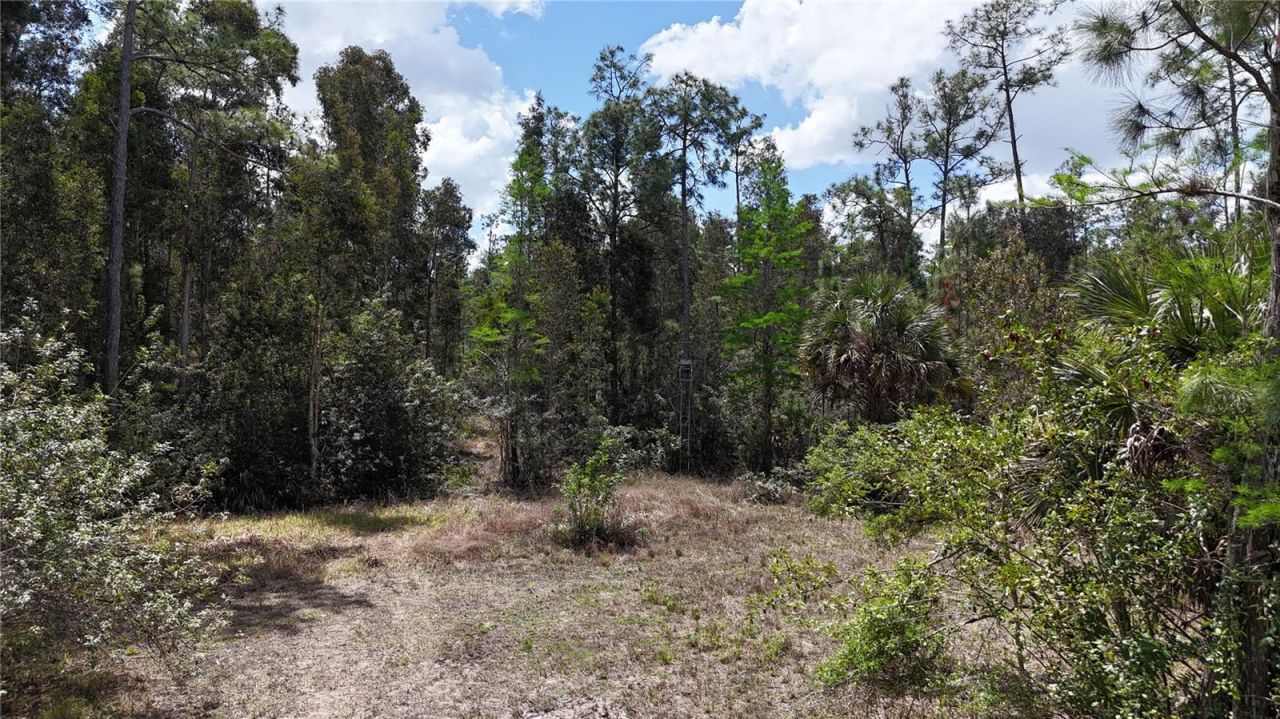 16840 Jozach Drive, Naples, FL 34120 Photo