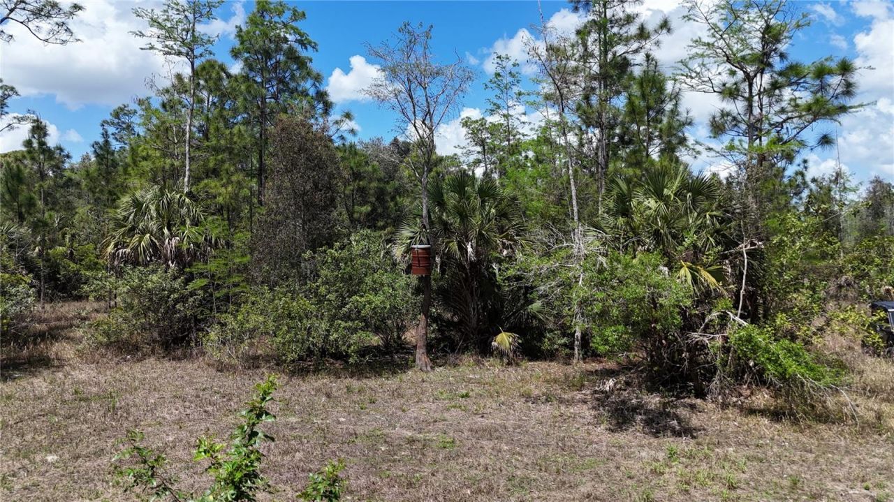 16840 Jozach Drive, Naples, FL 34120 Photo