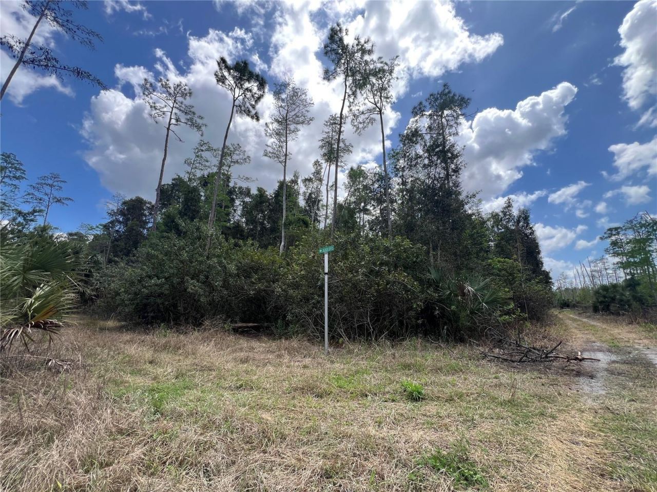 16840 Jozach Drive, Naples, FL 34120 Photo
