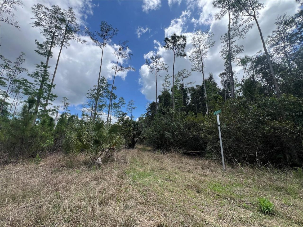 16840 Jozach Drive, Naples, FL 34120 Photo