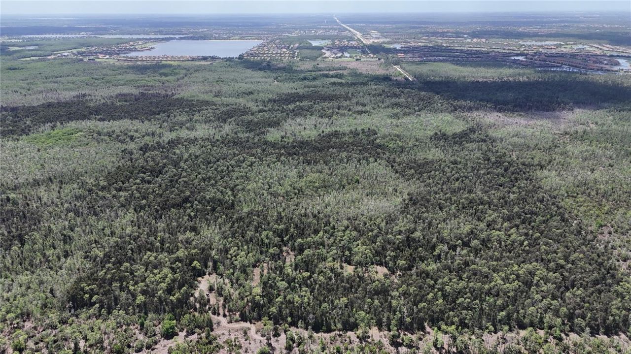 16840 Jozach Drive, Naples, FL 34120 Photo
