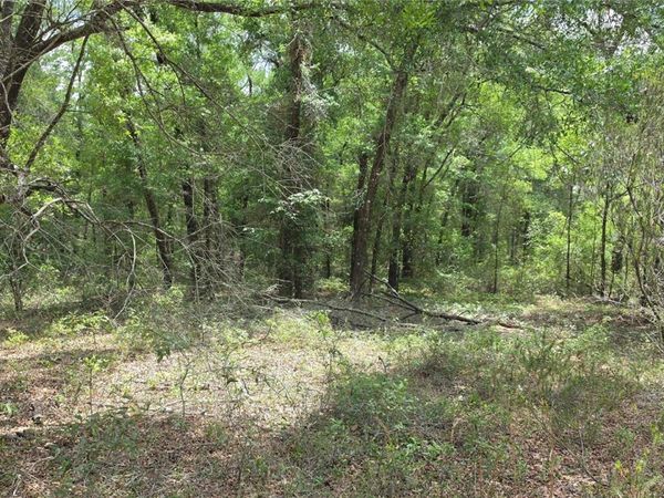 SE 81 PLACE , TRENTON, FL 32693