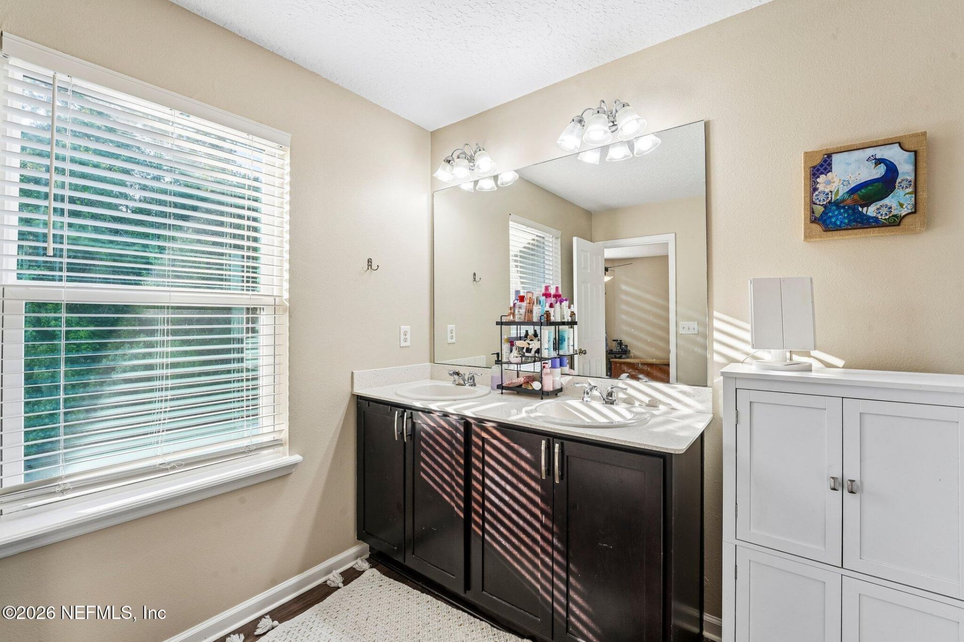 3124 Angora Bay Drive, Middleburg, FL 32068 Photo